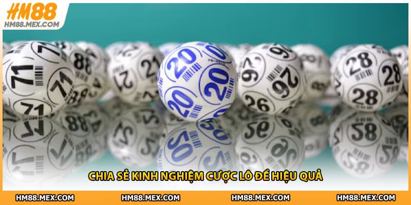 Chia sẻ kinh nghiệm cược lô đề hiệu quả