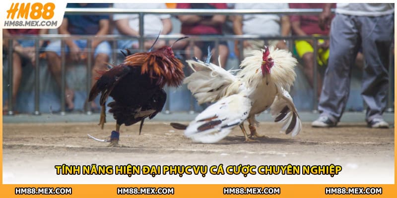 Tính năng hiện đại phục vụ cá cược chuyên nghiệp